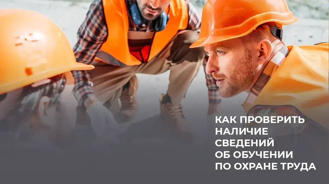 видео как проверить наличие сведений об обучении по охране труда